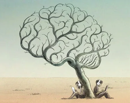 足球直播